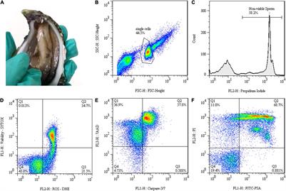 Effect of Trehalose and Sucrose in Post-thaw Quality of Crassostrea angulata Sperm